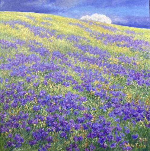 Cloud on the Hill van Felicia Trales, Schilderij te koop op Singulart