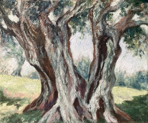 Olive Trees par Felicia Trales, Peinture en vente sur Singulart