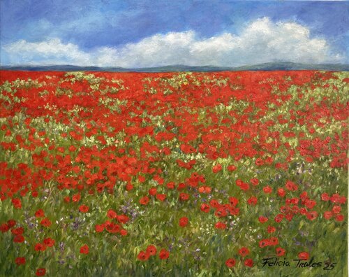 Poppies Field van Felicia Trales, Schilderij te koop op Singulart