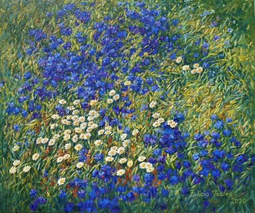 Some Flowers Felicia Trales