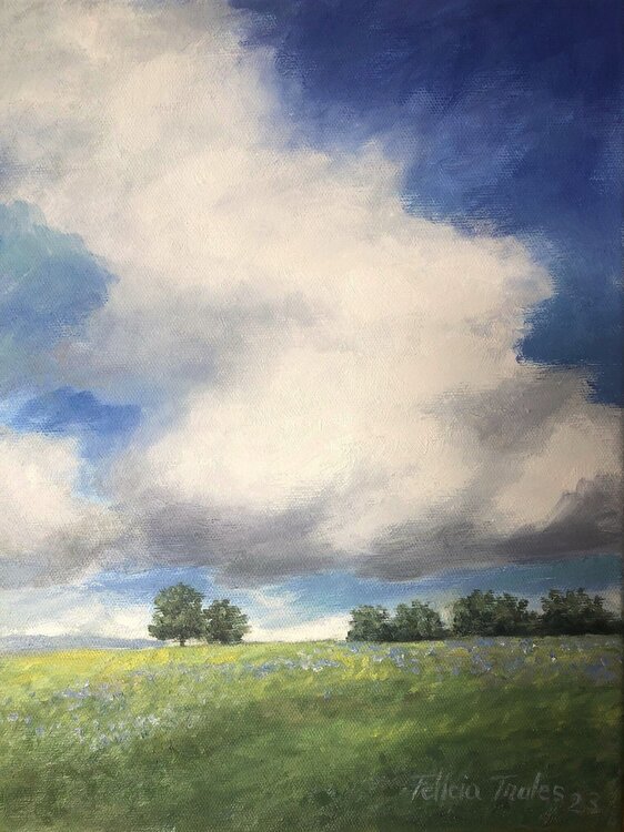 Spring Sky Felicia Trales