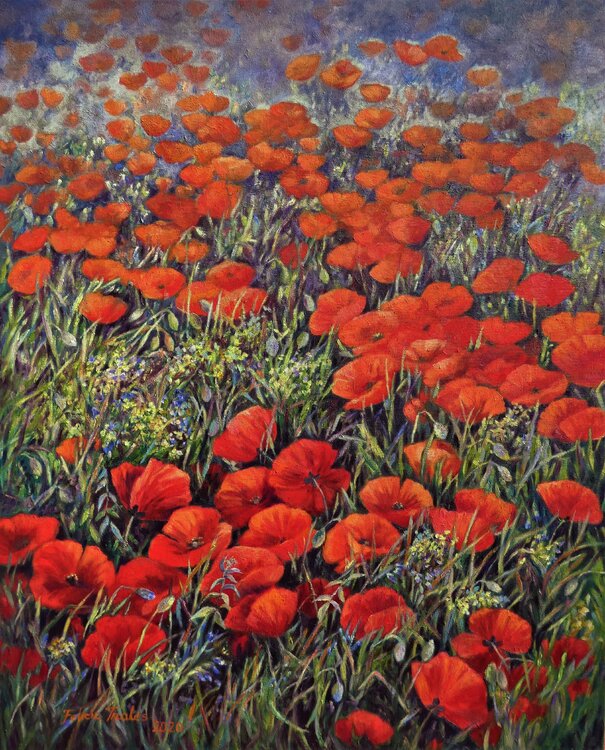 Poppies II Felicia Trales
