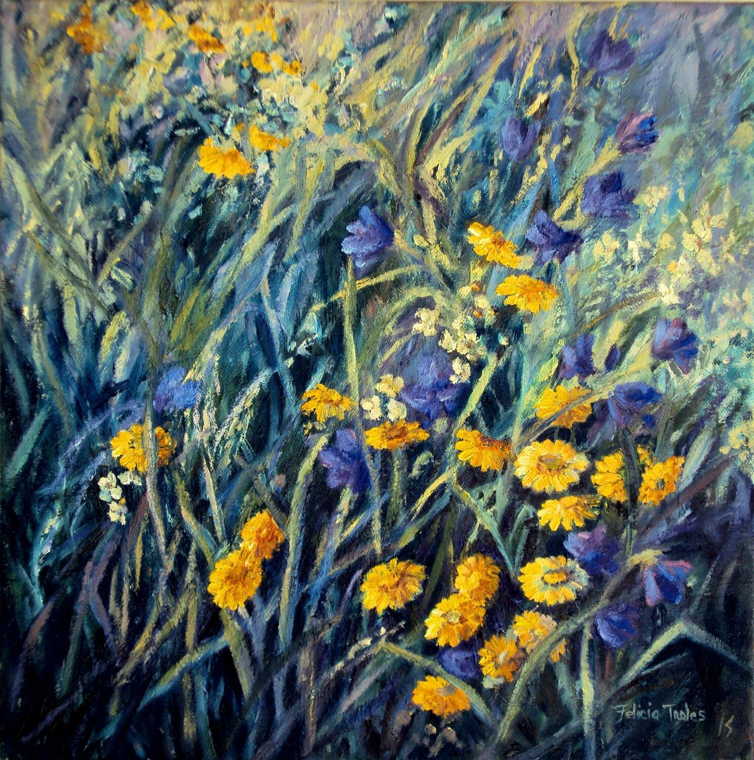 Wild Flowers Felicia Trales