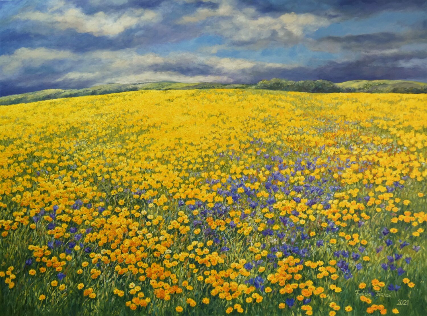 Before the Rain Felicia Trales