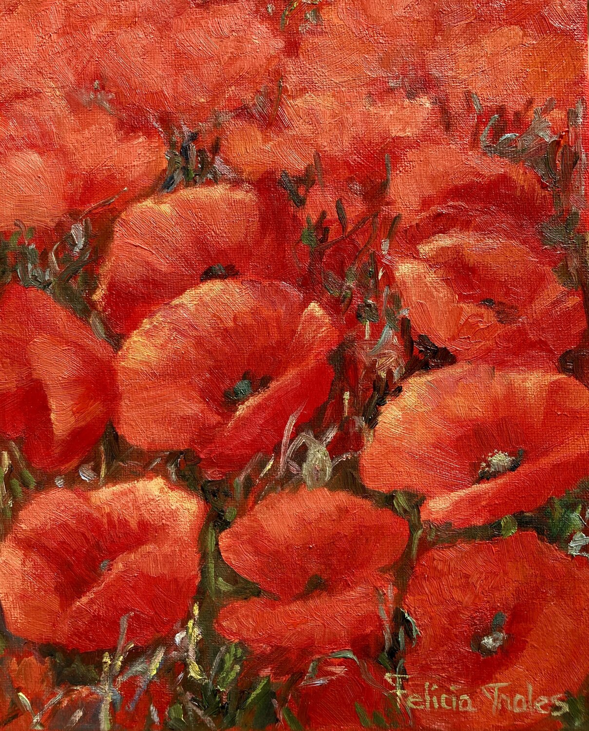 Poppies Felicia Trales