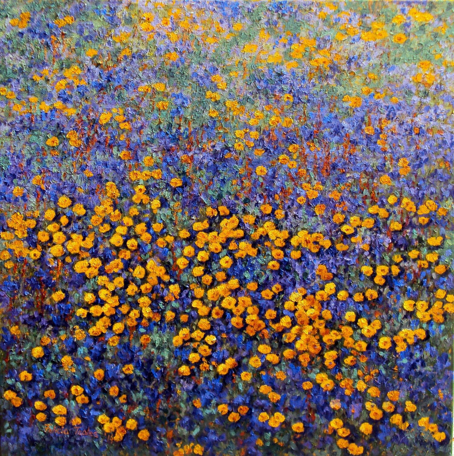 Yellow Flowers Felicia Trales