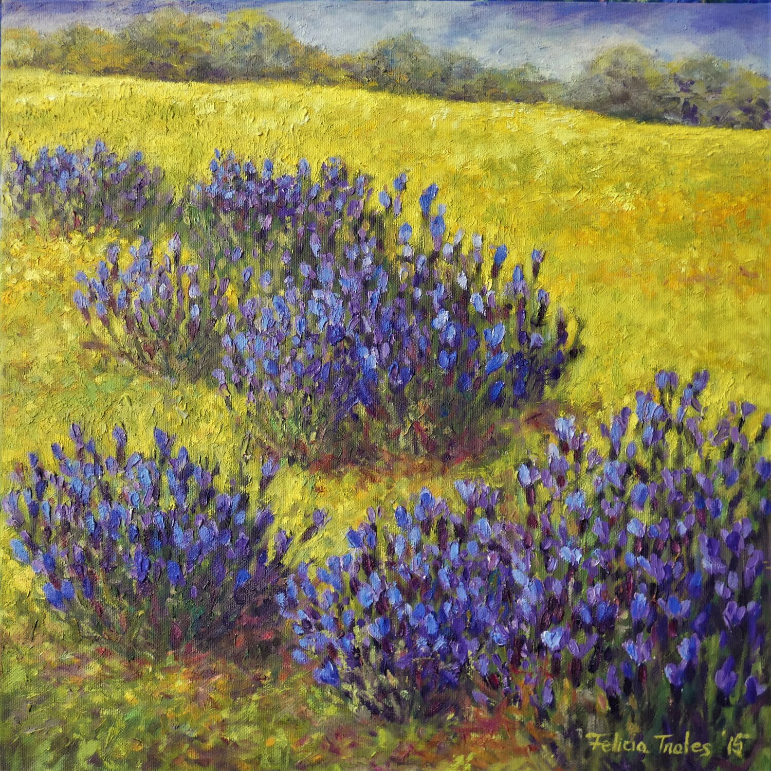 Wild Lavender III Felicia Trales