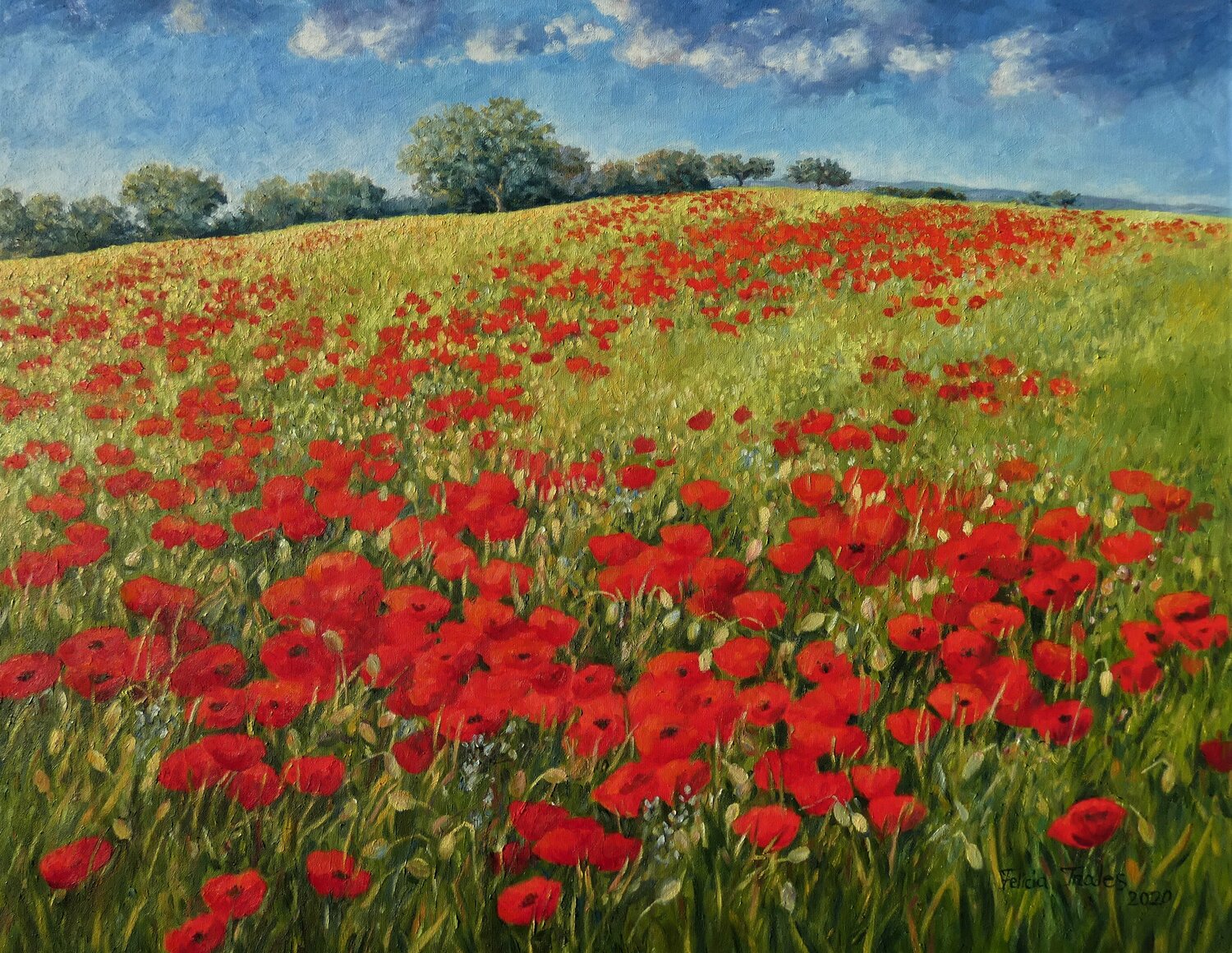 Poppys Hill Felicia Trales