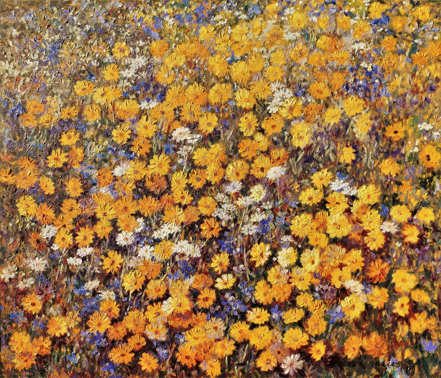 Marigolds Flowers Felicia Trales