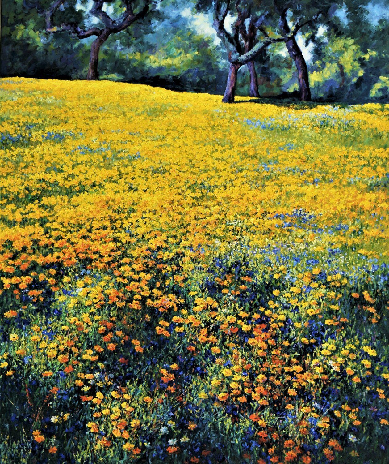 Spring Felicia Trales