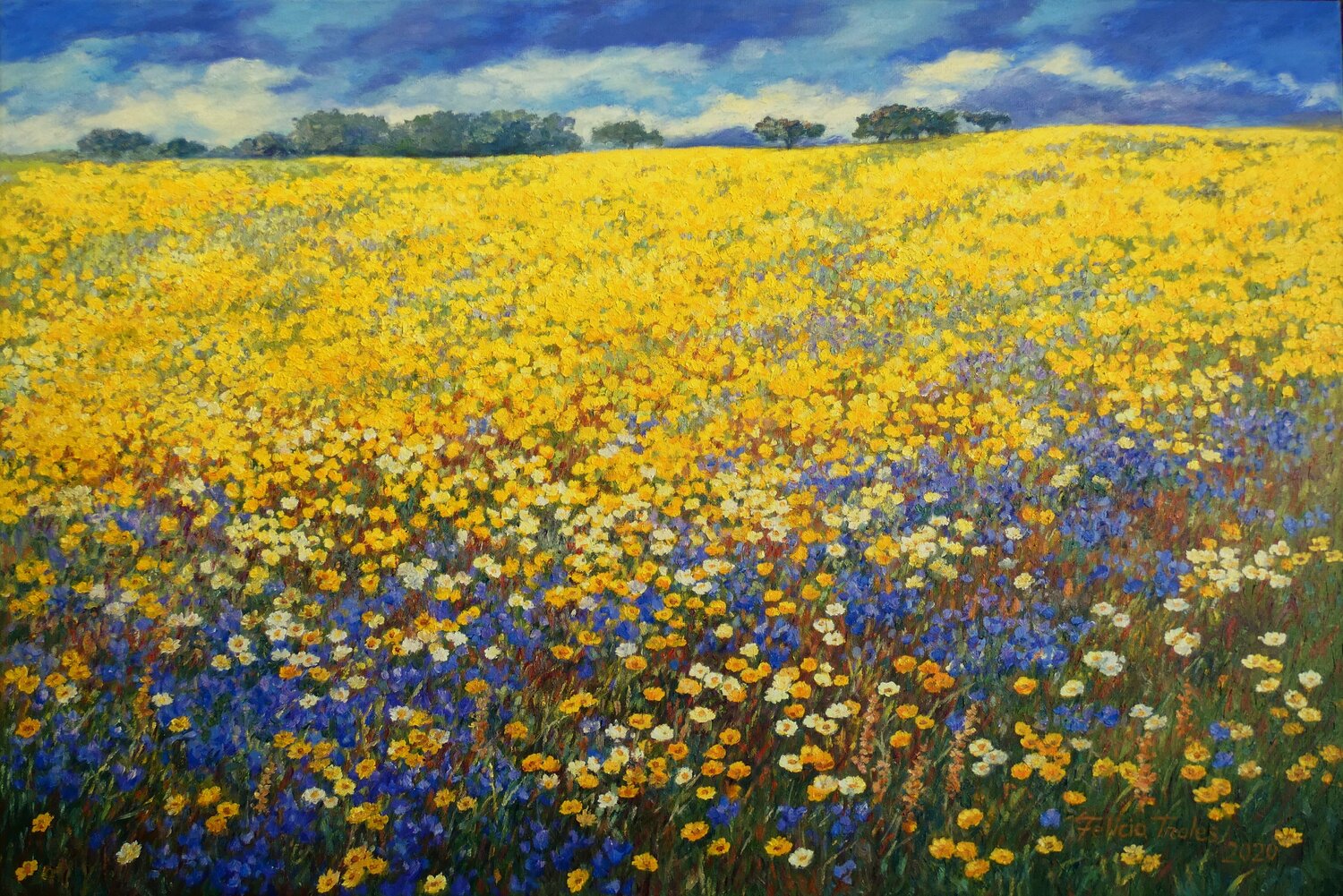 Stunning Field Felicia Trales