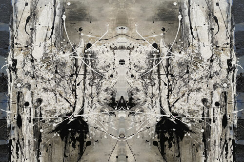 Gespiegelt 2 - Original Bild gespiegelt -  Als Druck auf Leinwand van Rudi Eckerle, Afdruk te koop op Singulart