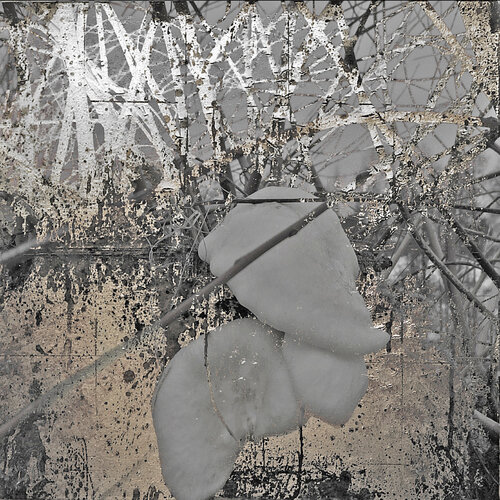 NATUR / JAHRESZEITEN 8 -  Druck auf Papier - Wunschgrößen by Rudi Eckerle, Print for Sale on Singulart