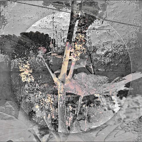 NATUR / JAHRESZEITEN 9 -  Druck auf Papier - Wunschgrößen von Rudi Eckerle, Druck kaufen auf Singulart