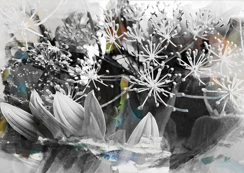 NATUR / JAHRESZEITEN 10 -  Druck auf Papier - Wunschgrößen. van Rudi Eckerle, Afdruk te koop op Singulart