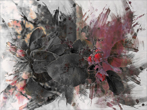 NATUR / JAHRESZEITEN 11 -  Druck auf Papier - Wunschgrößen van Rudi Eckerle, Afdruk te koop op Singulart