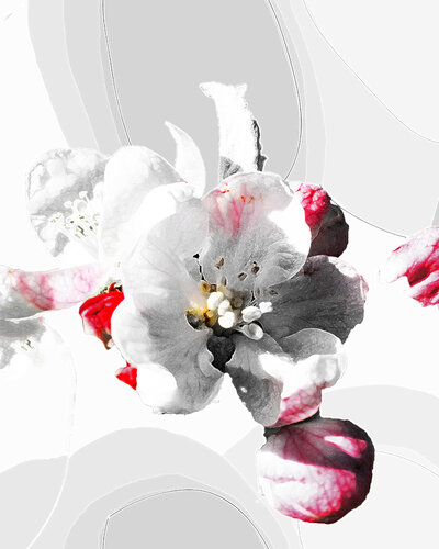 NATUR / JAHRESZEITEN 14 -  Druck auf Papier - Wunschgrößen by Rudi Eckerle, Print for Sale on Singulart