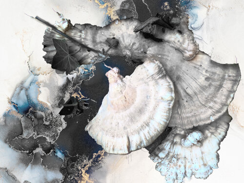 NATUR / JAHRESZEITEN 16 -  Druck auf Papier - Wunschgrößen. von Rudi Eckerle, Druck kaufen auf Singulart