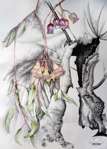 Blüten und Früchte by Karin Steffek-Moravia, Drawing for Sale on Singulart