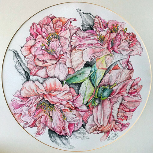 Kamelien im Rund II by Karin Steffek-Moravia, Work on Paper for Sale on Singulart
