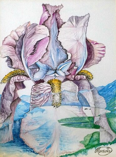 Transparente Iris par Karin Steffek-Moravia, Œuvre sur papier en vente sur Singulart