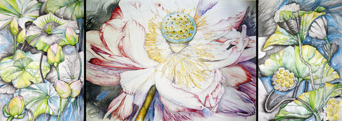 Triptychon „Die Zeit“  (Knospen, Blüte, Früchte) di Karin Steffek-Moravia, Opera su carta in vendita su Singulart