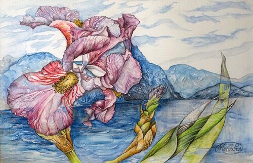 Iris mit Monte Ferro am Lago Maggiore von Karin Steffek-Moravia, Werk auf Papier kaufen auf Singulart