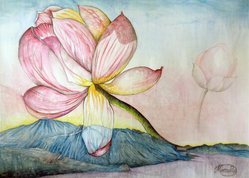 "Der Morgen" Lotus Karin Steffek-Moravia