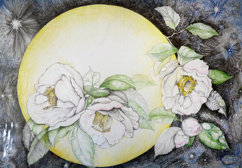 "Die Nacht“ Kamelien Karin Steffek-Moravia