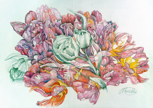 Tulpenfreude von Karin Steffek-Moravia, Werk auf Papier kaufen auf Singulart