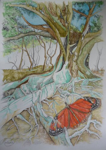 "Monarch"-Falter vor Feigenbaum by Karin Steffek-Moravia, Work on Paper for Sale on Singulart