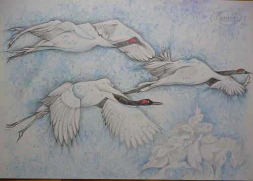 Der Flug der Kraniche by Karin Steffek-Moravia, Work on Paper for Sale on Singulart
