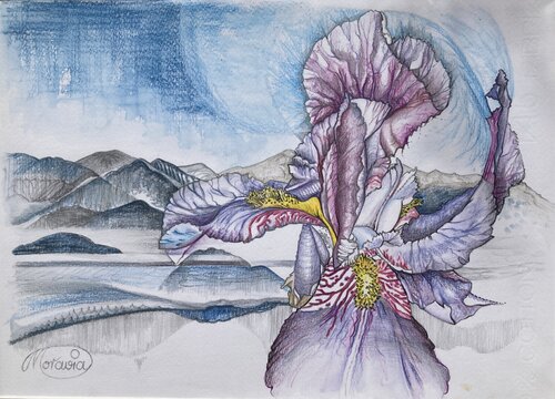 Iris im Lagodunst di Karin Steffek-Moravia, Opera su carta in vendita su Singulart