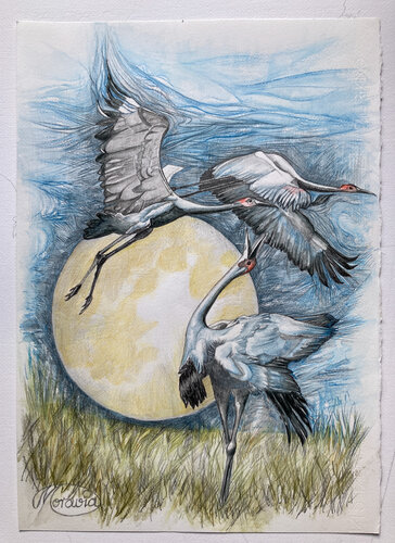 Der Ruf des Brolga by Karin Steffek-Moravia, Work on Paper for Sale on Singulart