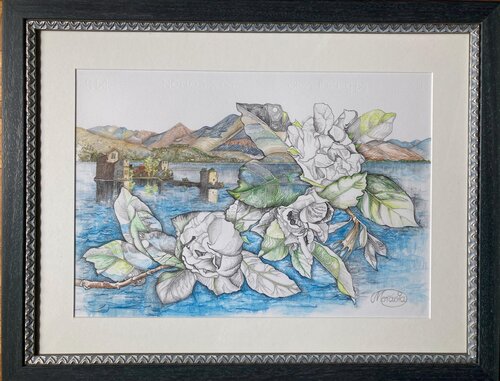 Gardenien vor Castello di Cannero Karin Steffek-Moravia