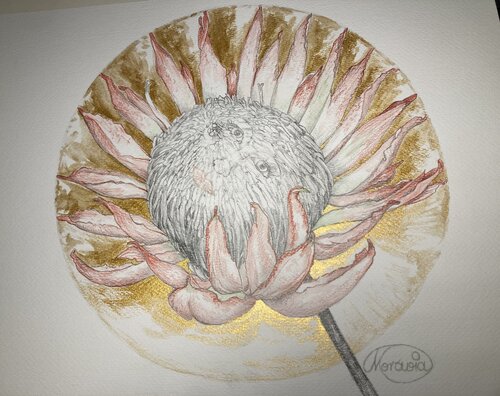 ProT(h)ea, die Strahlende di Karin Steffek-Moravia, Opera su carta in vendita su Singulart