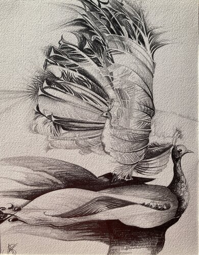 Pfauen di Karin Steffek-Moravia, Opera su carta in vendita su Singulart