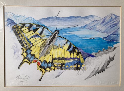 Farfalla Trasparente by Karin Steffek-Moravia, Work on Paper for Sale on Singulart