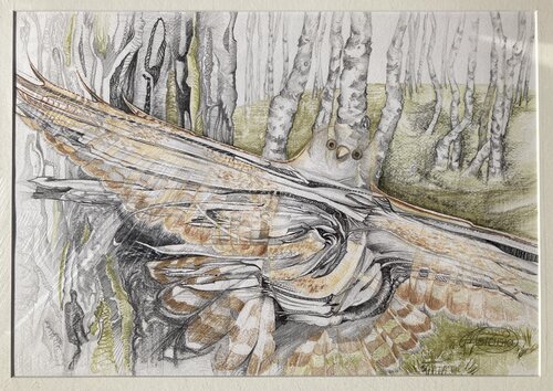 Wie Flügel von Karin Steffek-Moravia, Werk auf Papier kaufen auf Singulart
