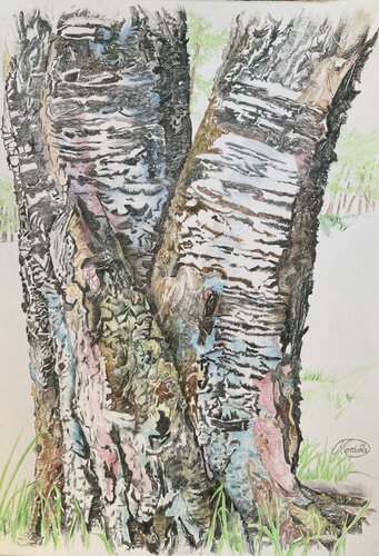 Kraft aus einer Wurzel di Karin Steffek-Moravia, Opera su carta in vendita su Singulart