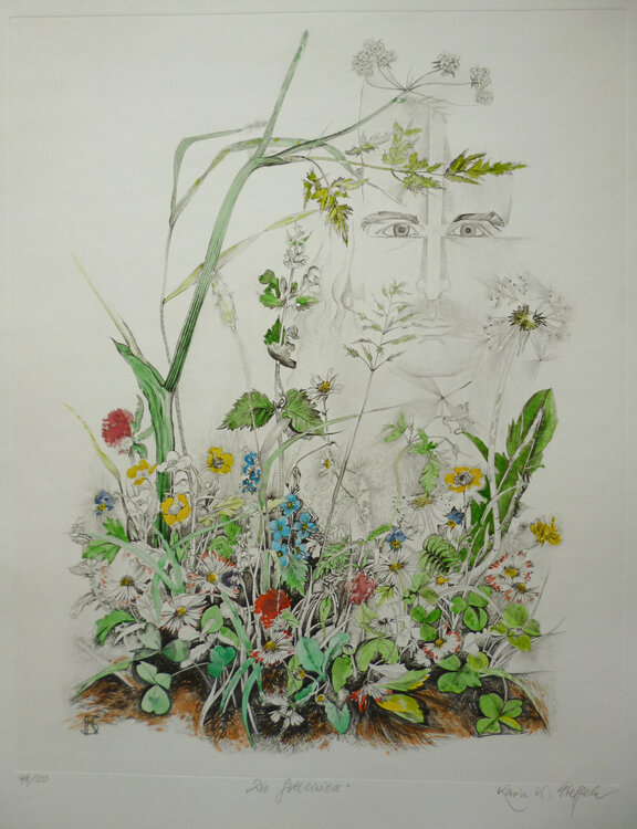Die Gotteswiese Karin Steffek-Moravia