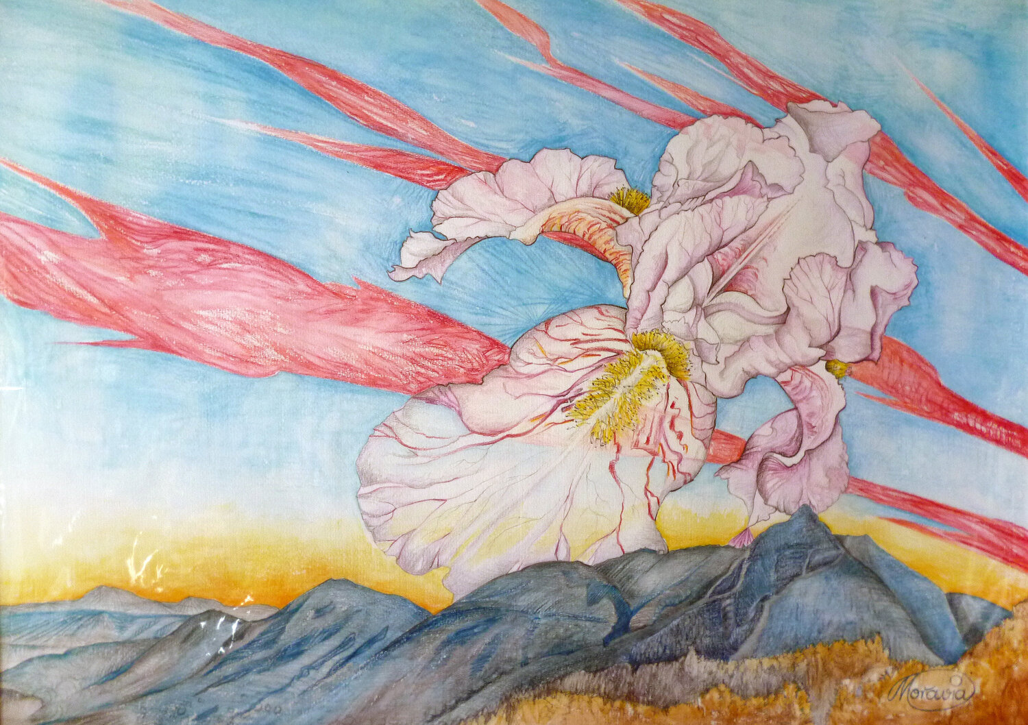 "Der Abend" Iris Karin Steffek-Moravia