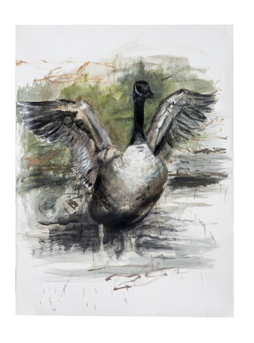 Goose Landing van Tracy Ostmann Haschke, Werk op papier te koop op Singulart