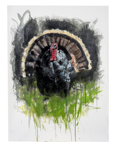 Turkey by Tracy Ostmann Haschke, Work on Paper for Sale on Singulart