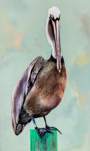 Brown Pelican van Tracy Ostmann Haschke, Schilderij te koop op Singulart