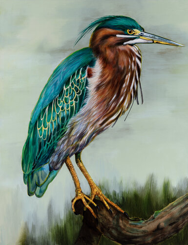 Green Heron van Tracy Ostmann Haschke, Schilderij te koop op Singulart