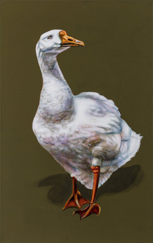 Domestic Goose Bird van Tracy Ostmann Haschke, Schilderij te koop op Singulart