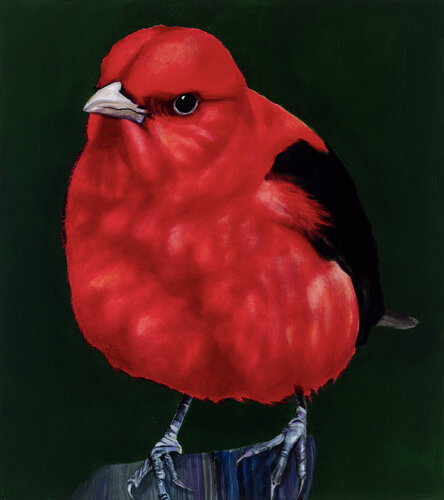 Scarlet Tanager Bird van Tracy Ostmann Haschke, Schilderij te koop op Singulart