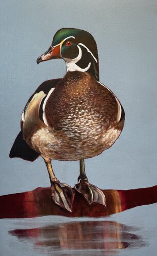 WOOD DUCK von Tracy Ostmann Haschke, Malerei kaufen auf Singulart