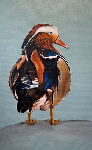 Mandarin Duck de Tracy Ostmann Haschke, Pintura a la venta en Singulart